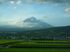 春の田園と富士山